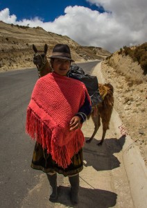 Vuelta de Quilotoa - miejscowa dama i jej lama